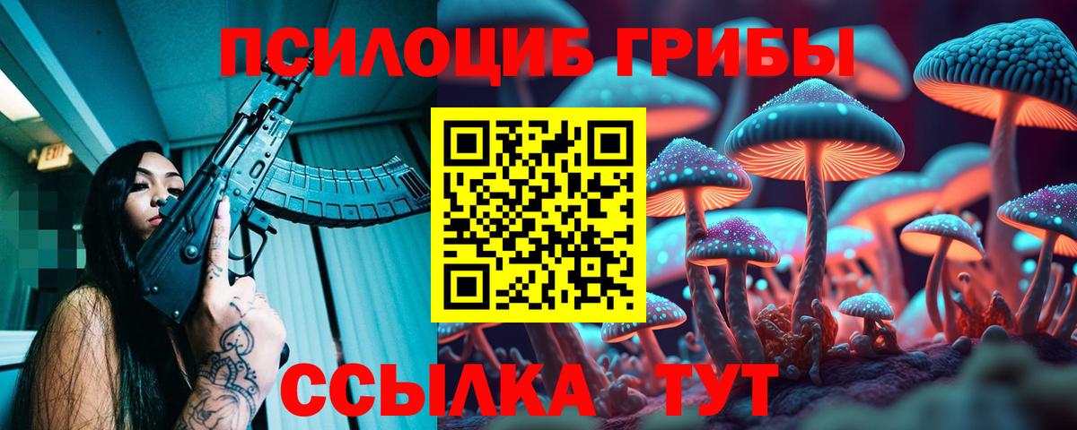 Псилоцибиновые грибы MAGIC MUSHROOMS Северск